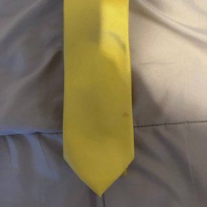 Alfani Slim Tie